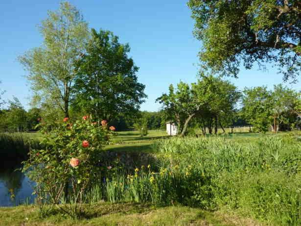 Le Controis-en-Sologne Maison Dans Belle Longere - La Serrerie מראה חיצוני תמונה